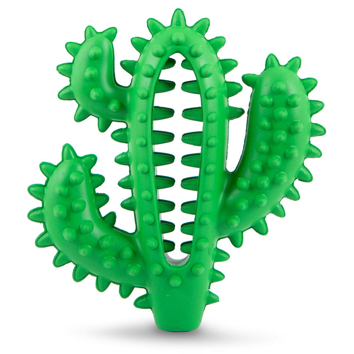 Jeffers Cactus Natural Rubber Dental Chew Toy for Dogs for Healthy Chewing Habits