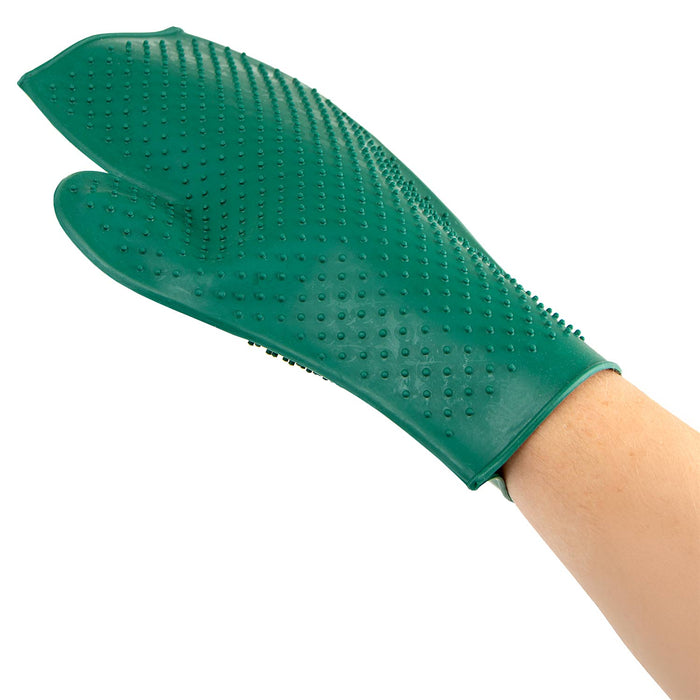 Jeffers GROOMIT - Rubber Grooming Glove for Animals
