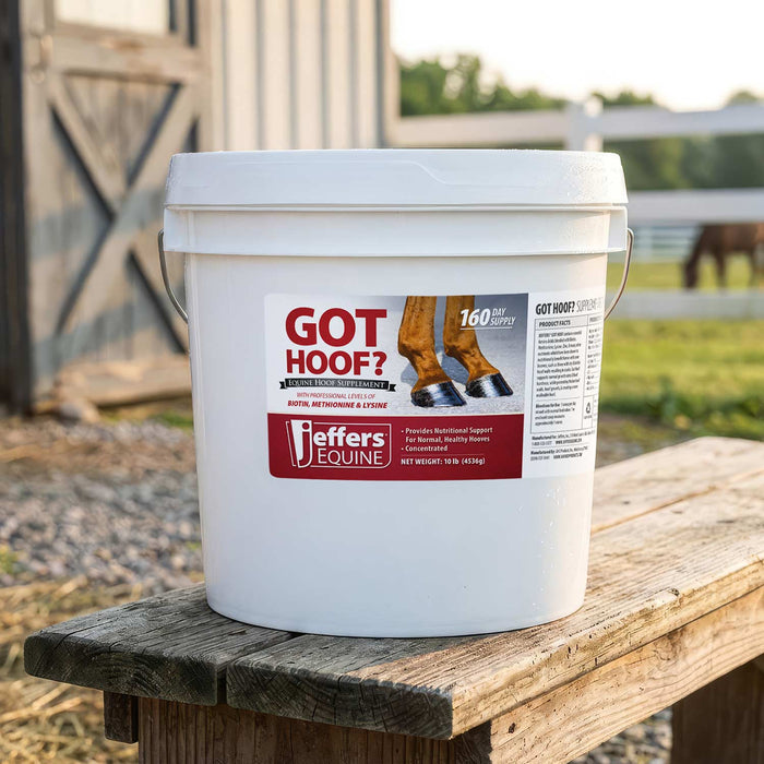 Jeffers Got Hoof? Hoof Builder Supplement for Horses, Powder