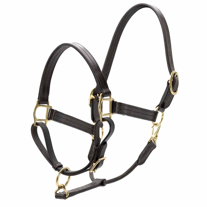 Jeffers Versailles Triple Stitched Adjustable Leather Halter for Horses, Havana