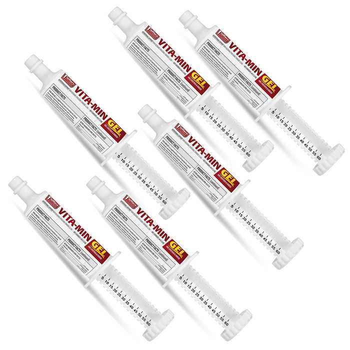 Jeffers Vita-Min Gel with Vit E & B12 for Cattle, Horses, Sheep, Goats & Swine