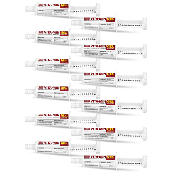 Jeffers Vita-Min Gel with Vit E & B12 for Cattle, Horses, Sheep, Goats & Swine