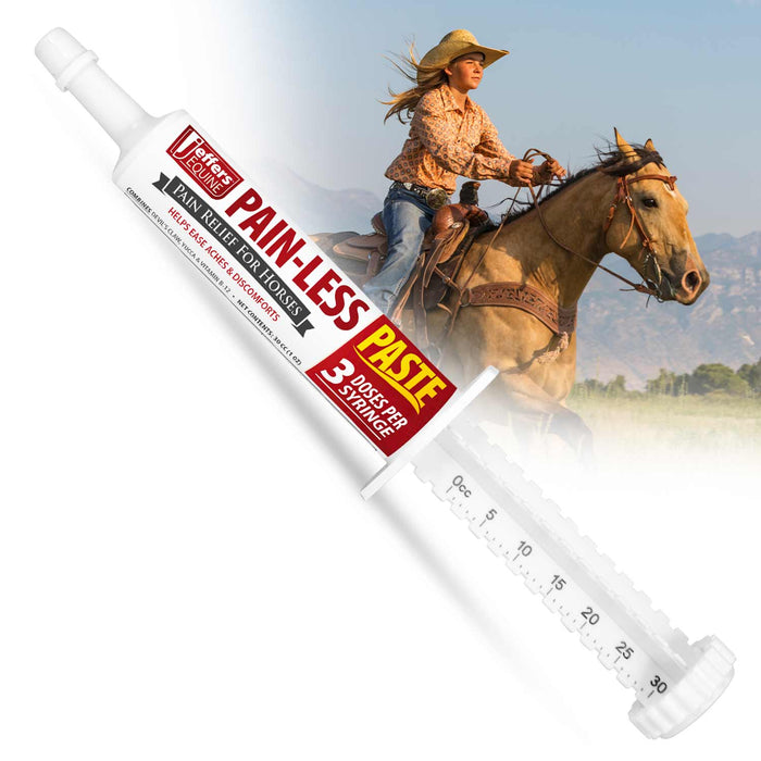 Jeffers Pain-Less Pain Relief Paste for Horses