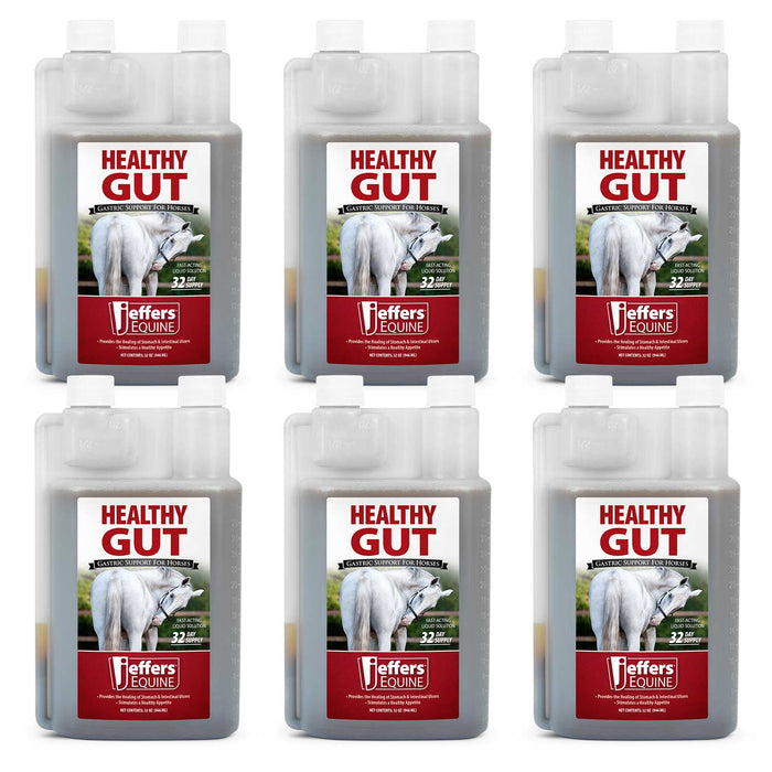 Jeffers Healthy Gut Gastric Support Liquid Supplement for Horses
