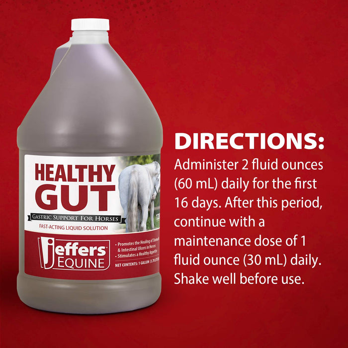 Jeffers Healthy Gut Gastric Support Liquid Supplement for Horses