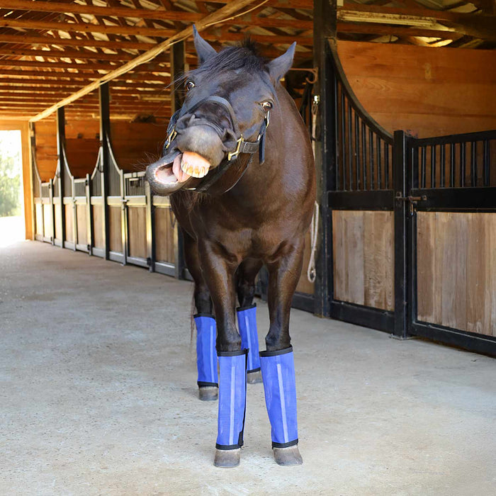 Jeffers Romper Stomper "Stomp-Free" Fly Boots for Horses, 4 pack
