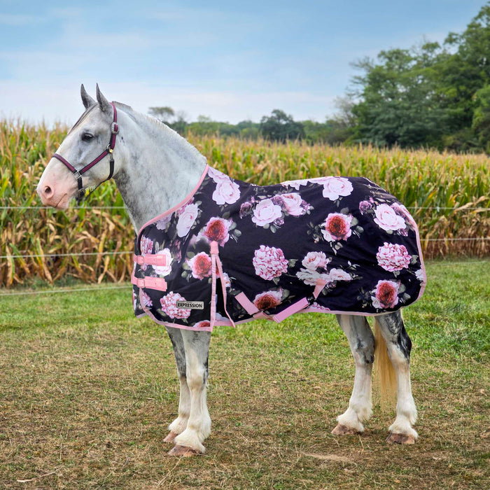 Jeffers Expression Draft 1200 Denier Standard Neck Turnout Blanket Color Rose Garden pattern