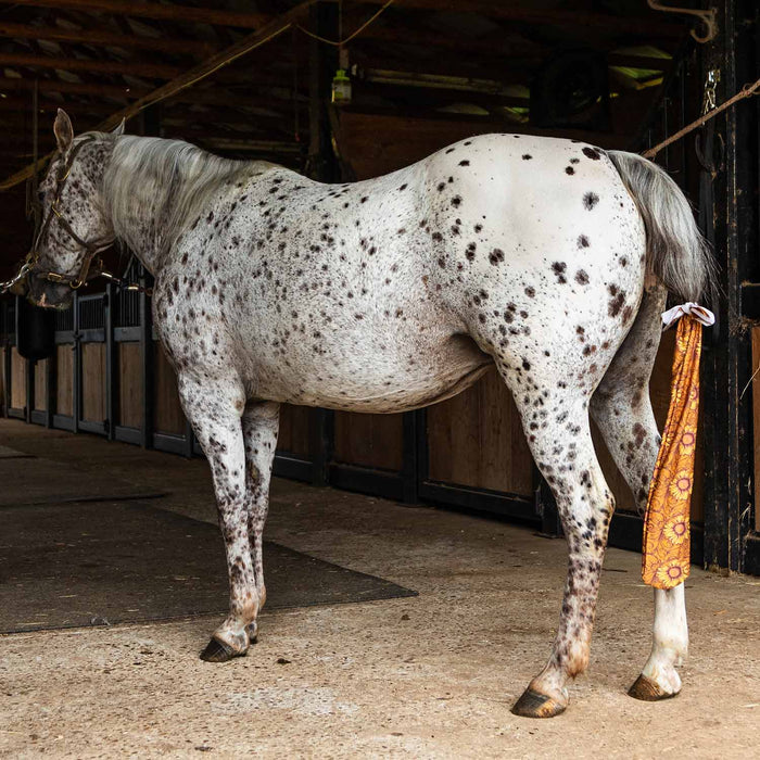 Jeffers Expression Lycra Horse Tail Bag, 24"L