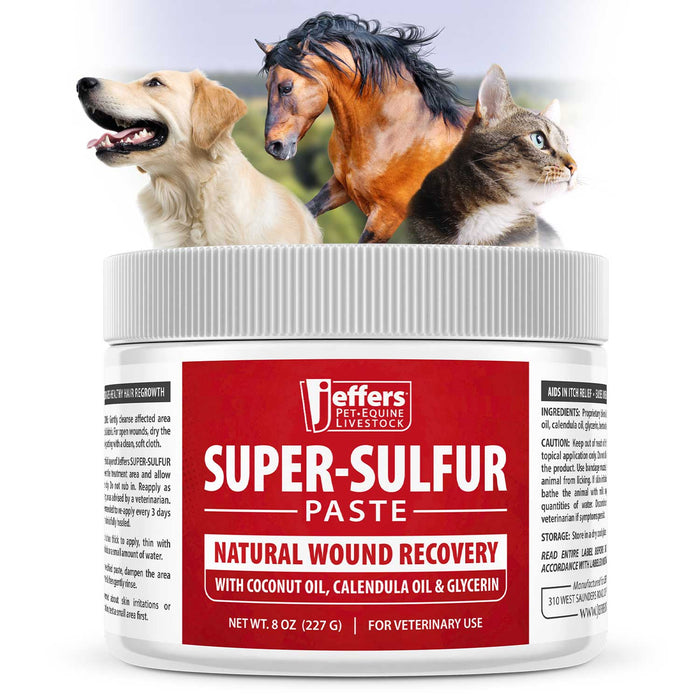 Jeffers Super-Sulfur Skin & Wound Healing Paste for Pets, Horses, & Livestock
