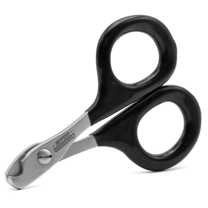 Jeffers Stainless Steel Cat Claw Scissors – Easy & Safe Nail Clippers for Cats, Birds, and Small Pets