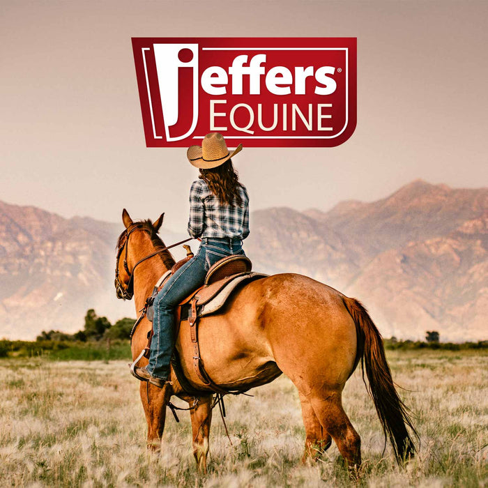 Jeffers Concentrated Citronella Oil Natural Insect Repellent for Horses