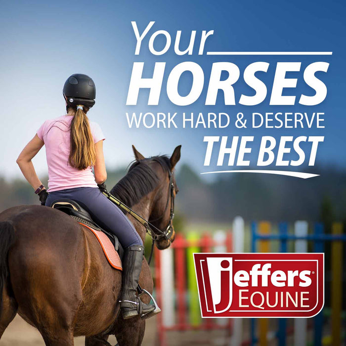 Jeffers Horse Dressing Comb