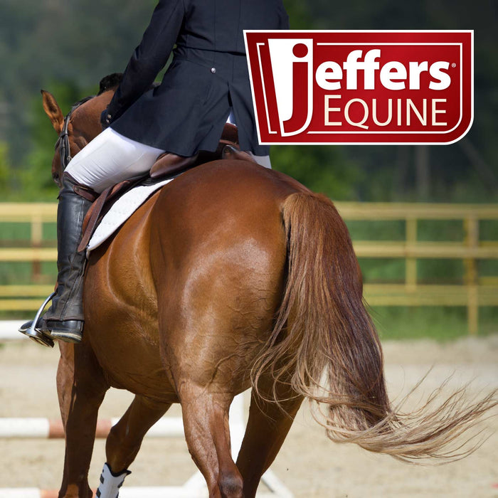 Jeffers Chain-End Horse Twitch
