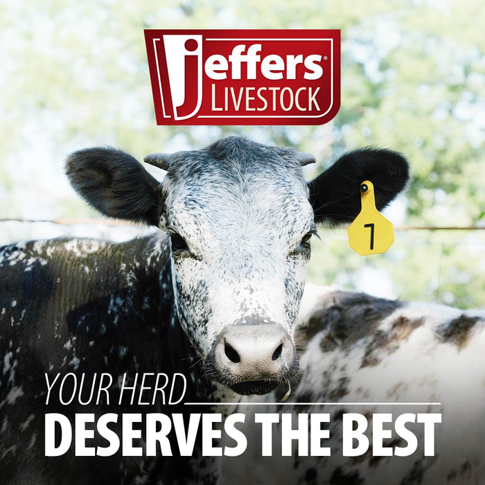 Jeffers Nylon Cow Halter
