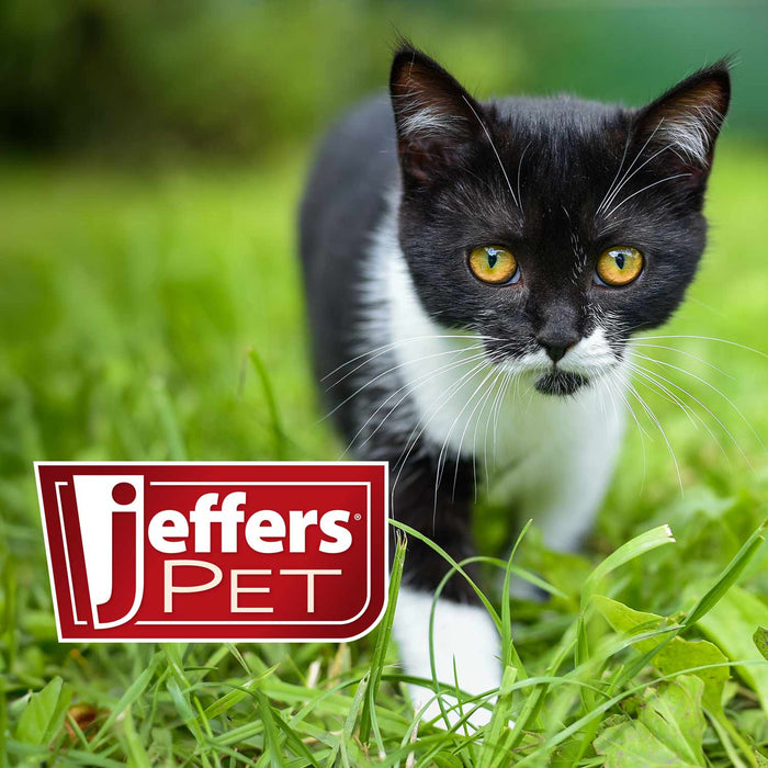 Jeffers Soft Pin Universal Slicker Brush for Dogs & Cats