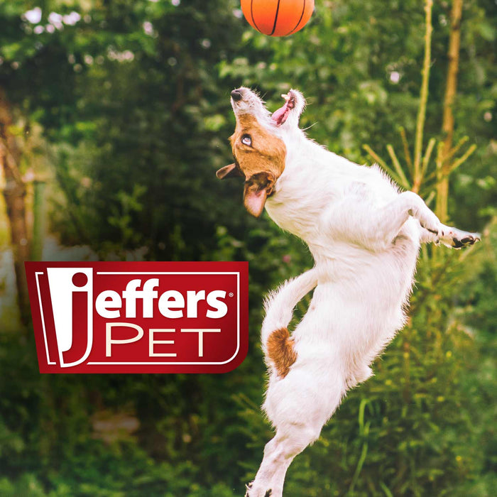 Jeffers Christmas Character Plush Orbs Squeaker Dog Toy