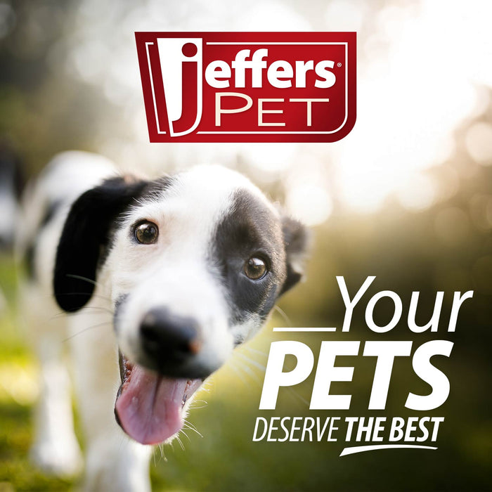 Jeffers Pet Nail File for Dog and Cat Nail Grooming, 7"L
