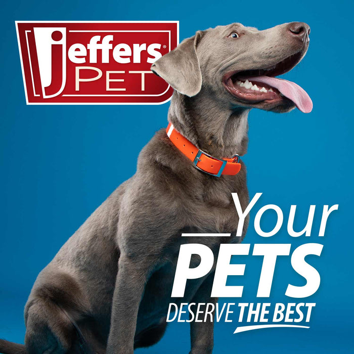 Jeffers Diawin Digestive Support for Dogs – Bismuth Tummy Relief for Diarrhea