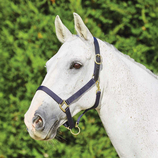 Nylon Breakaway Halter Size Warmblood