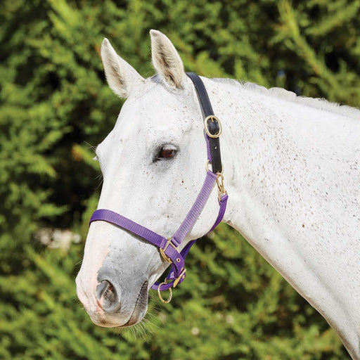 Nylon Breakaway Halter Size Warmblood