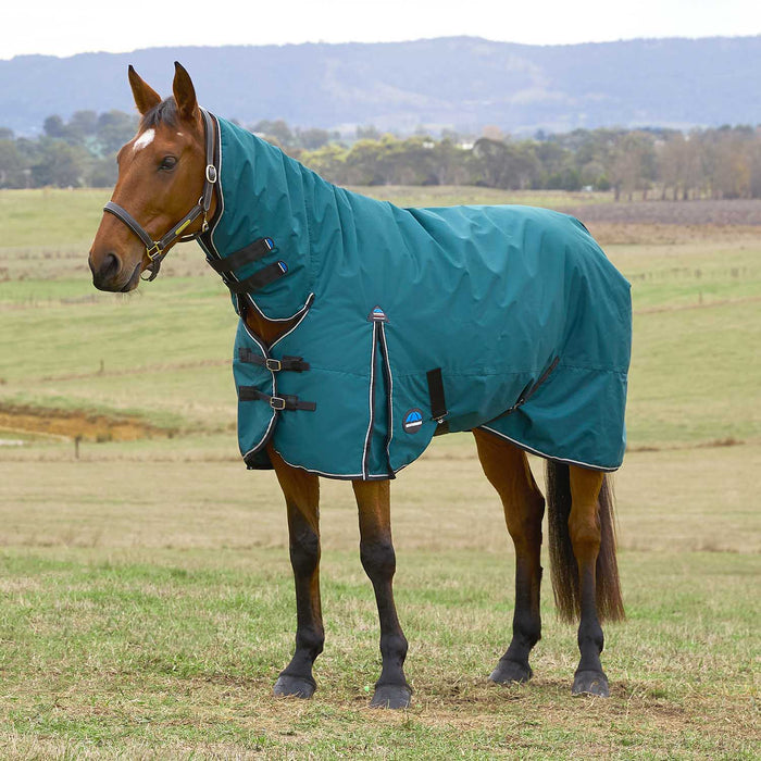 WeatherBeeta ComFITec Classic Combo Neck Turnout Blanket Color Green