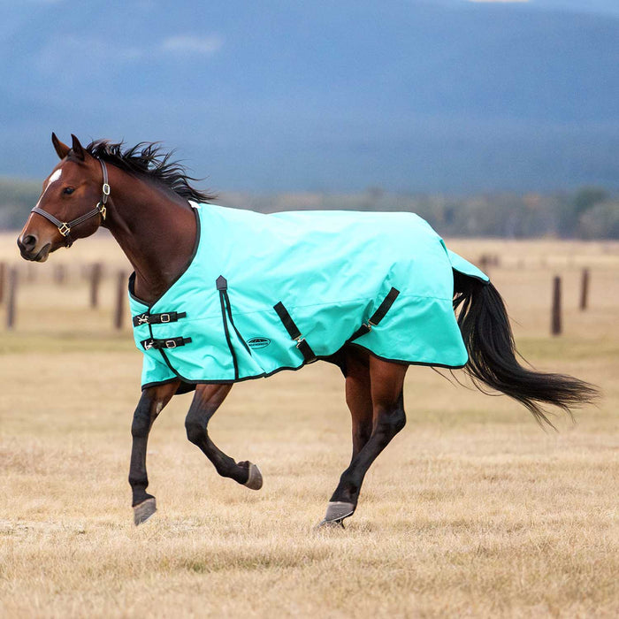 WeatherBeeta ComFITec Original Standard Neck Turnout Blanket Color Turquoise