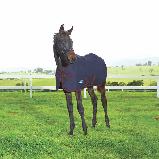 WeatherBeeta 1200 Denier Foal Blanket Color Navy