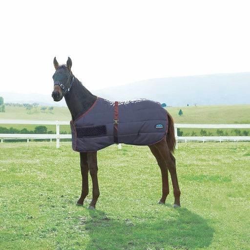 WeatherBeeta 420 Denier Foal Blanket Color Navy