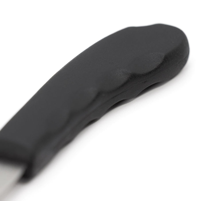 Jeffers Bot Fly Egg Scraper
