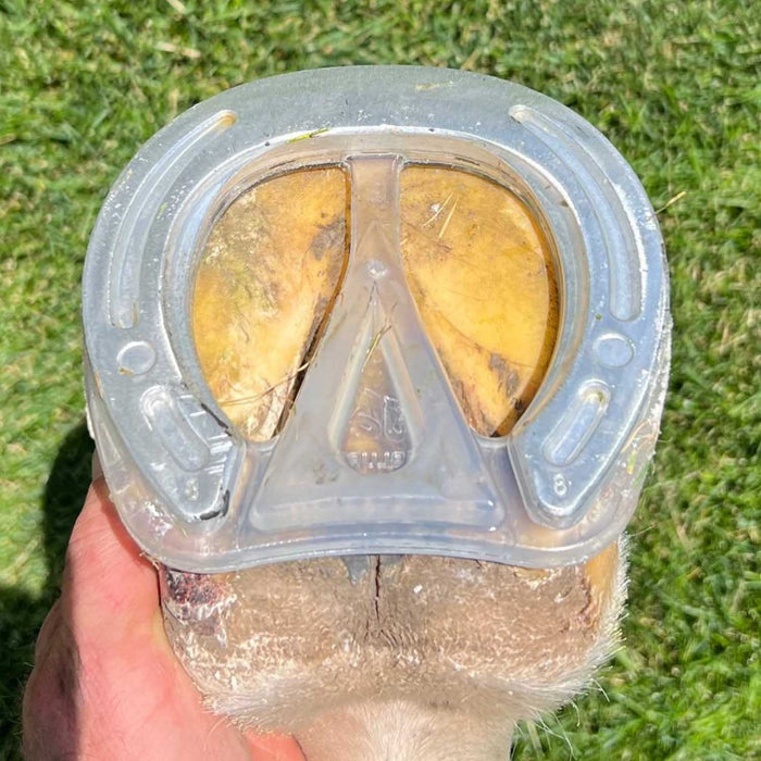 EasyShoe Race Size Front 9