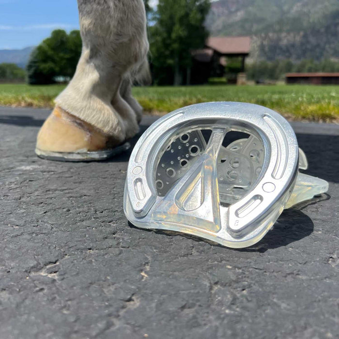 EasyShoe Race Size Front 9