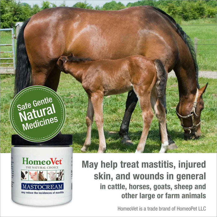 MastoCream Cattle Mastitis Cream