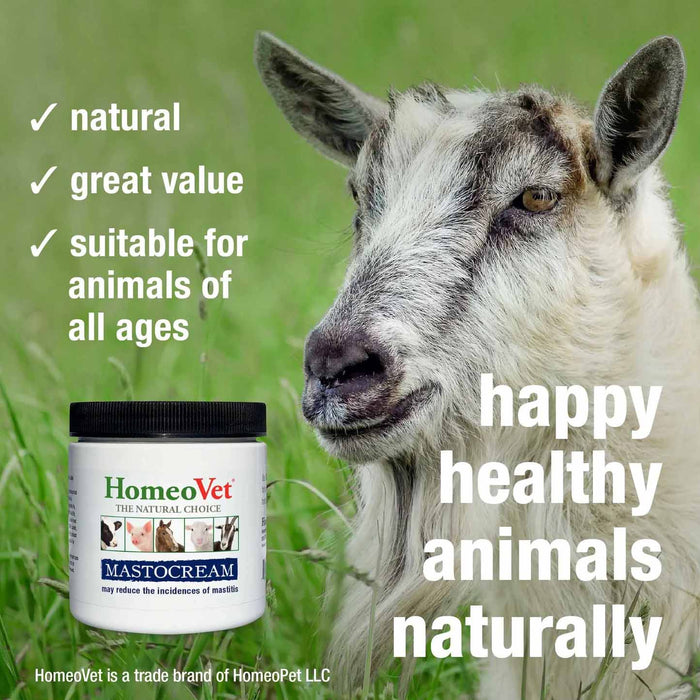 MastoCream Cattle Mastitis Cream