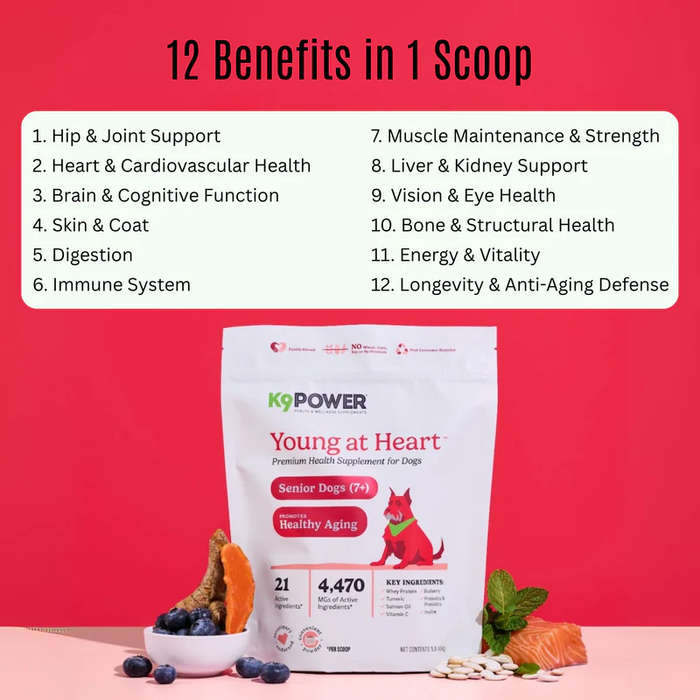K9 Power Young at Heart Senior Dog Health Formula