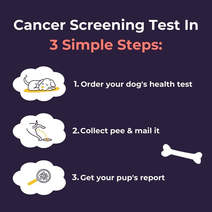Oncotect Essential Dog Cancer Screening Test Kit Color White