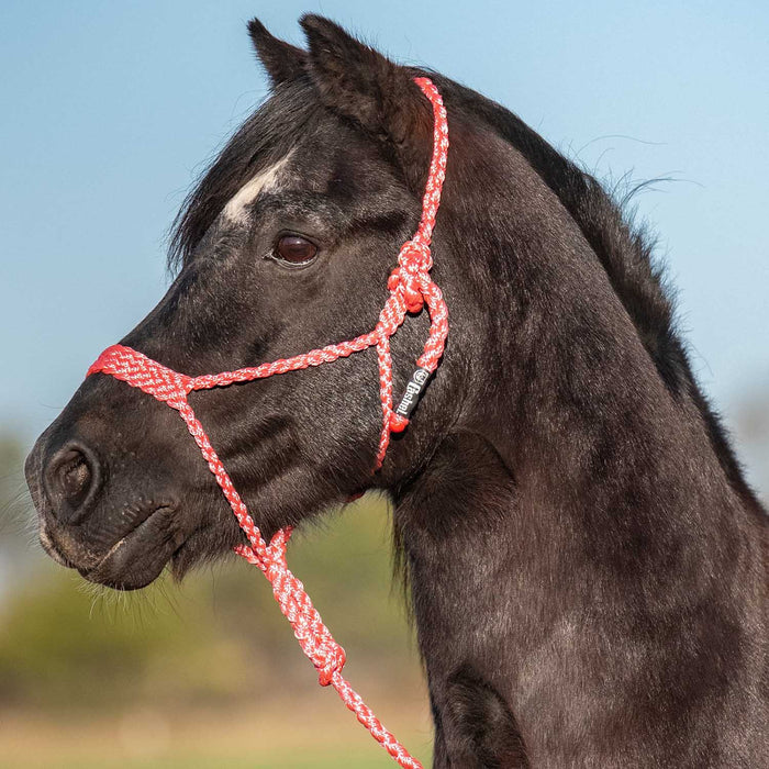 Cashel Flat Braid Pony Halter Color Pink
