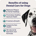 Summit Animal Helath Dental Care for Dogs, 1.43oz Size 1.43oz