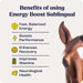Energy Boost for Horse 3 Doses Count 