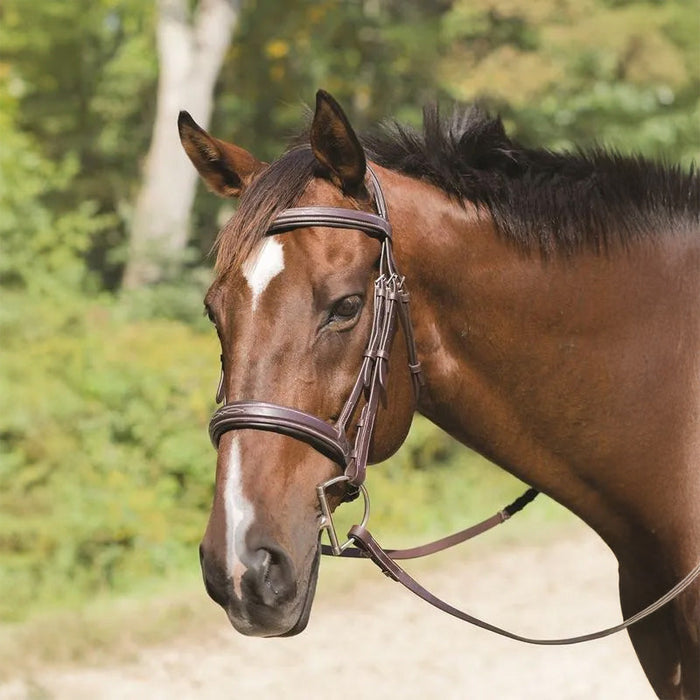 Avignon Wellington Bridle Color Havana