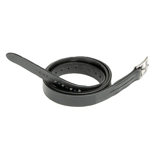 Aviemore Stirrup Leathers with Curve Buckles Color Black