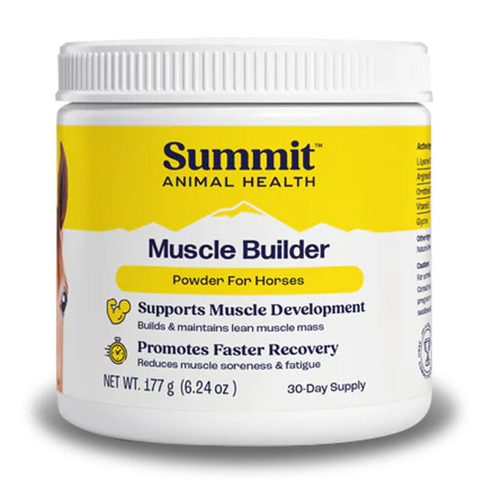 Muscle Builder Count 