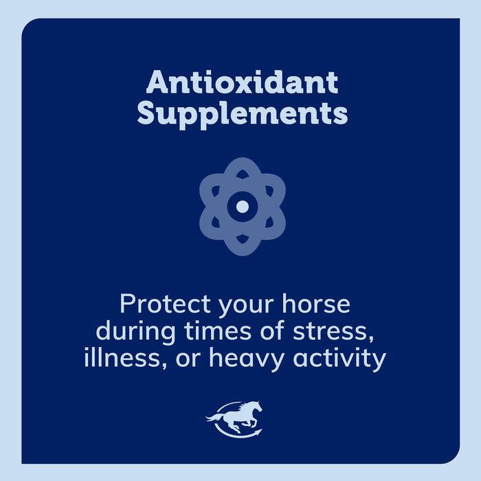 E-5000, Vitamin E Supplement for Horses, Powder