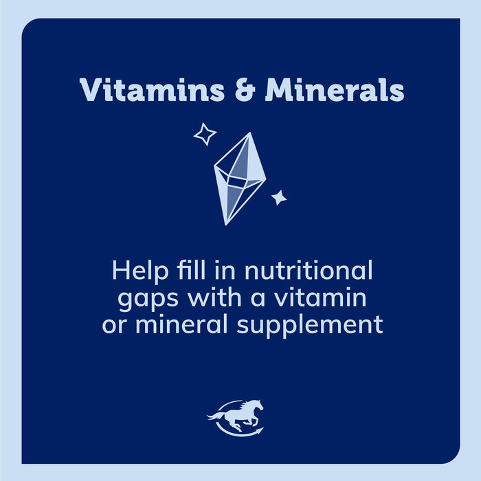 SmartEquine Smart & Simple Taruine Powder Size 5 LB