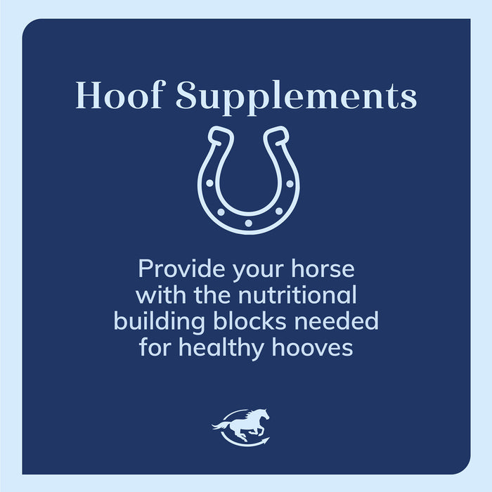 Hoof Biotin Powder, Hoof Supplement for Horses