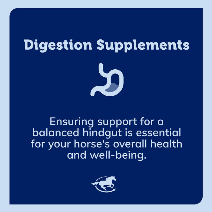 SmartEquine SmartDigest Ultra Paste Size One Size