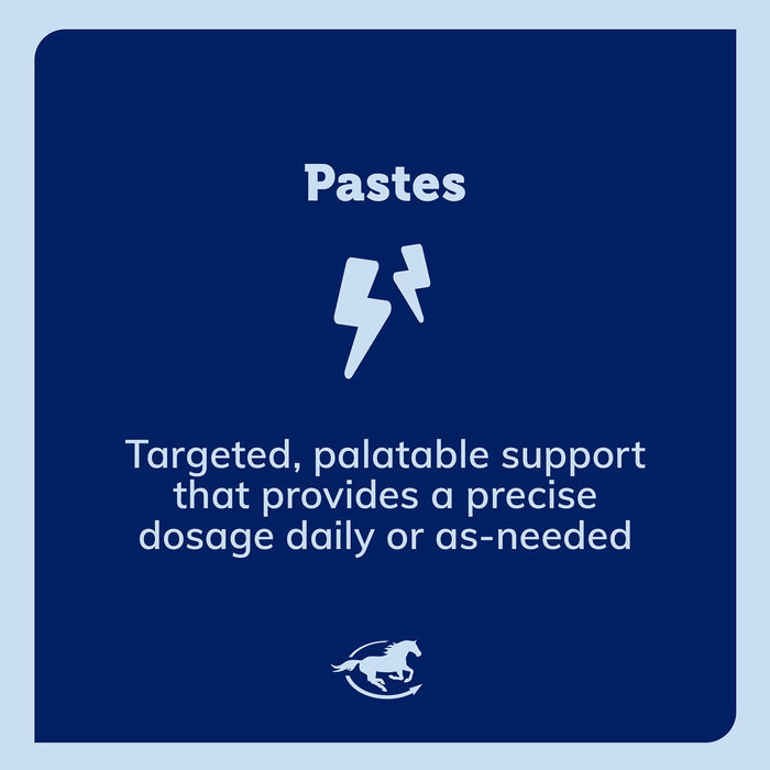 SmartEquine SmartDigest Ultra Paste Size One Size