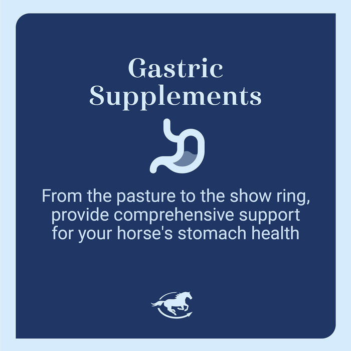 GUT, Digestive & Stomach Support Supplement for Horses, Powder