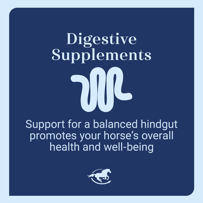 GUT, Digestive & Stomach Support Supplement for Horses, Powder