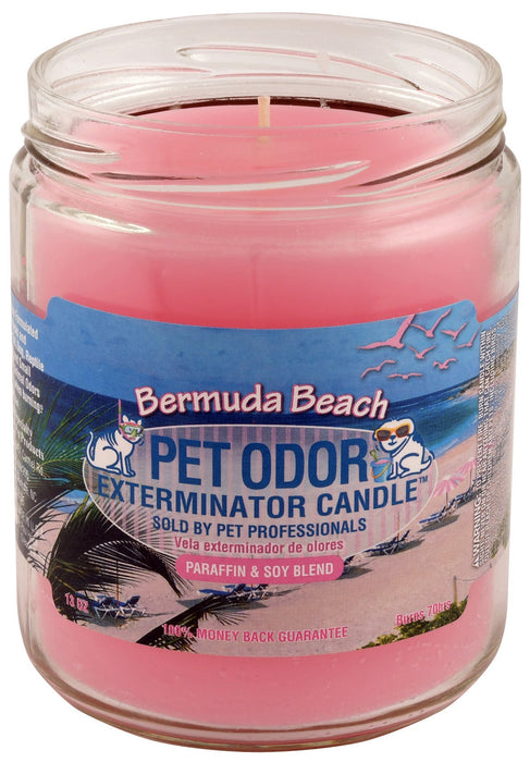Pet Odor Exterminator Candle - Enzyme-Based Odor Eliminating Candle Safe for Pets