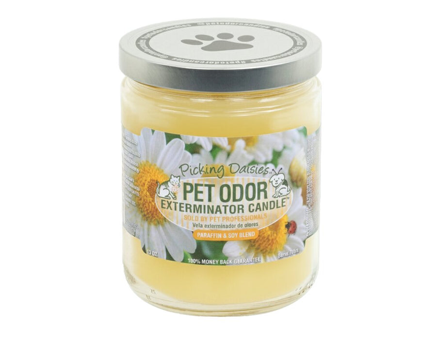 Pet Odor Exterminator Candle - Enzyme-Based Odor Eliminating Candle Safe for Pets